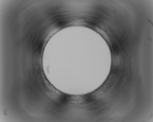 X0000091651338200708231002