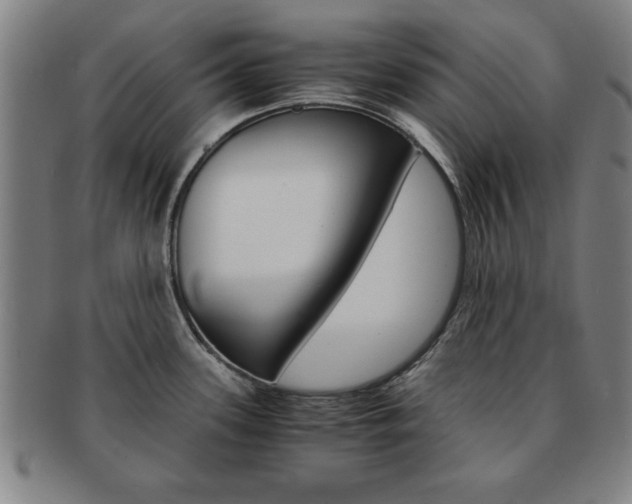 X0000091651339200708231002