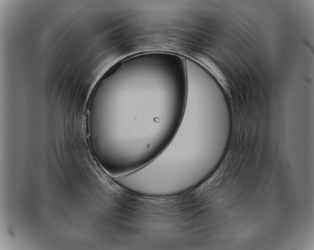 X0000091651340200708231002