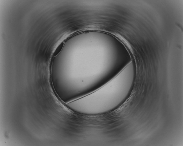 X0000091651341200708231002