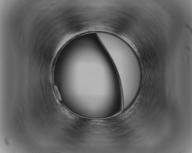 X0000091651342200708231002