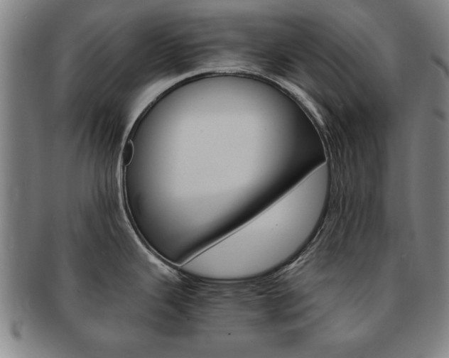 X0000091651343200708231002