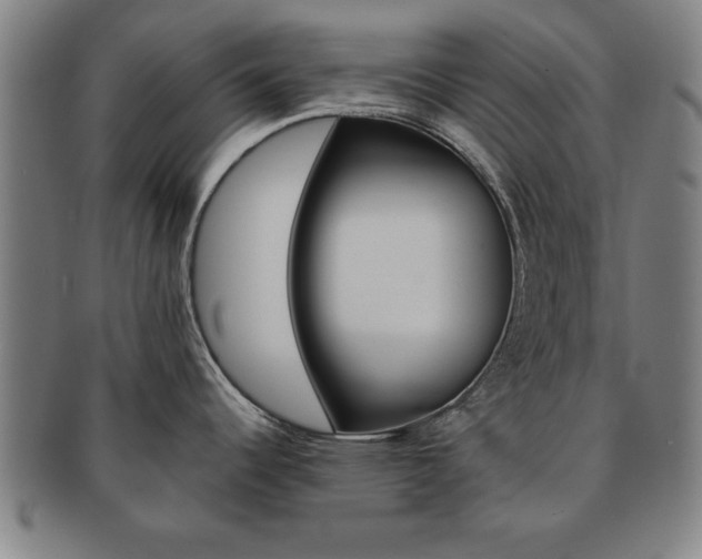 X0000091651344200708231002