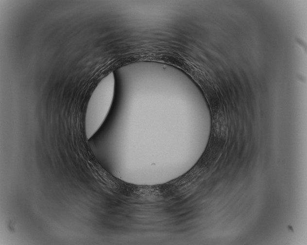 X0000091651346200708231001