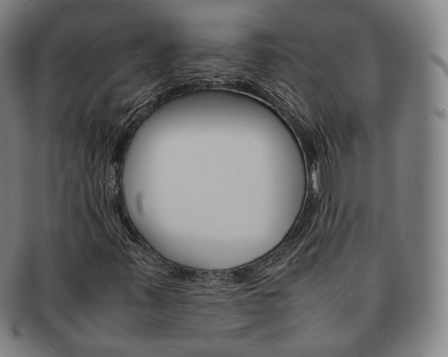 X0000091651347200708231001