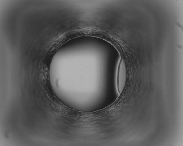 X0000091651349200708231001