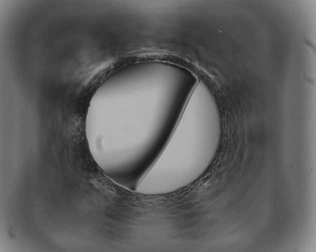 X0000091651351200708231001