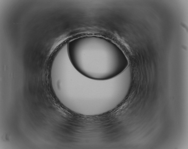 X0000091651352200708231001