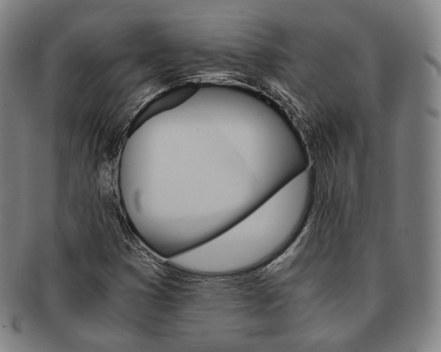 X0000091651353200708231001