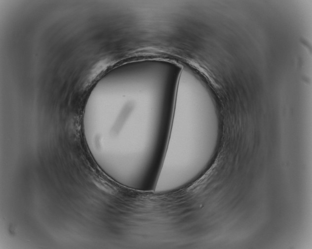 X0000091651355200708231001
