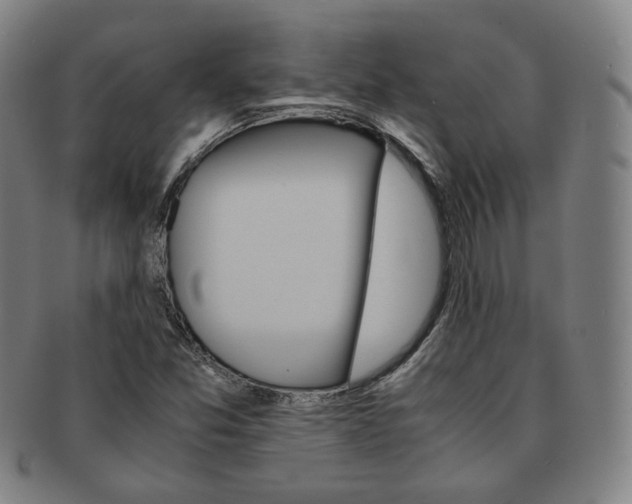 X0000091651357200708231001