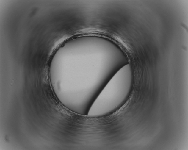 X0000091651358200708231001