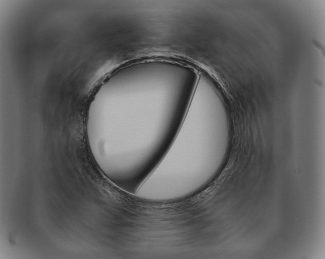 X0000091651359200708231001