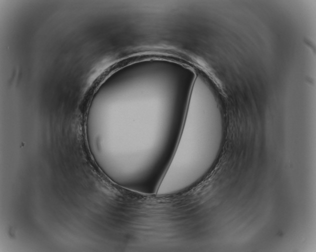 X0000091651360200708231001