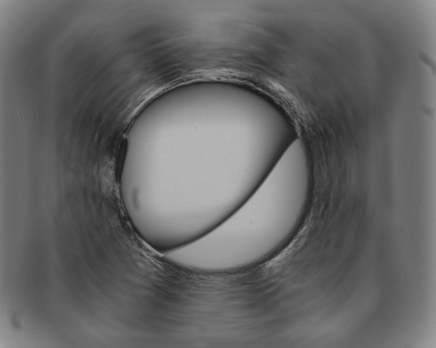 X0000091651361200708231001
