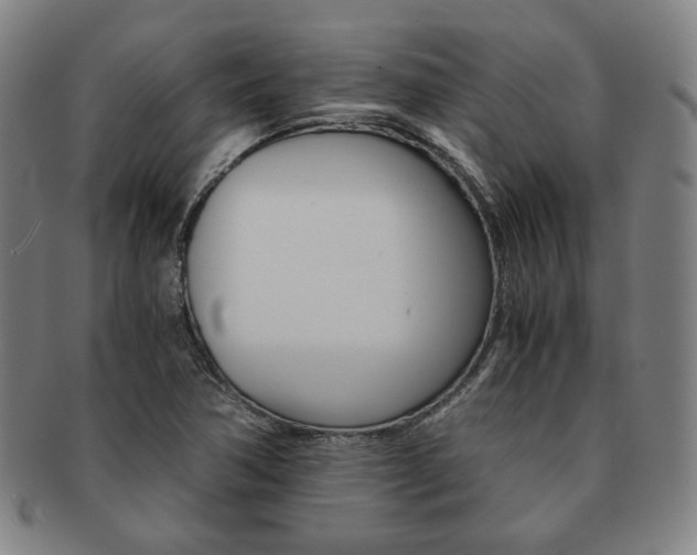 X0000091651362200708231001