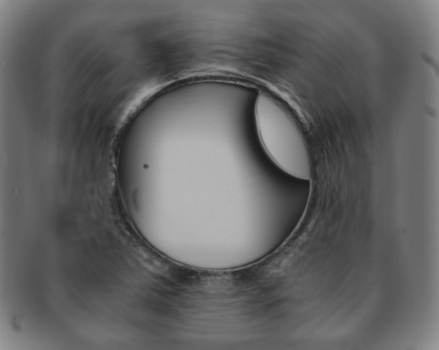 X0000091651363200708231001