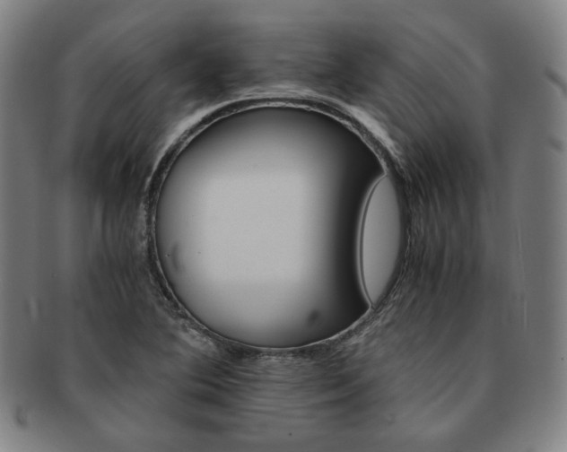 X0000091651364200708231001
