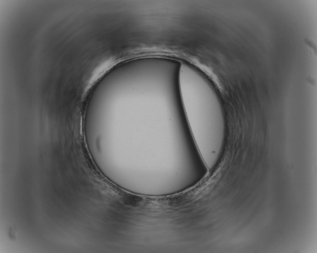 X0000091651365200708231001