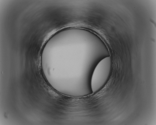 X0000091651366200708231001