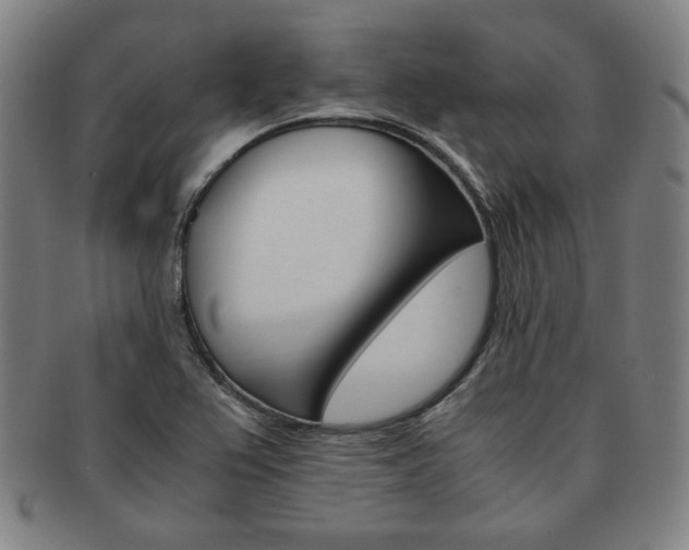 X0000091651367200708231001