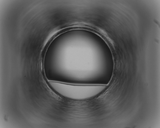 X0000091651368200708231001
