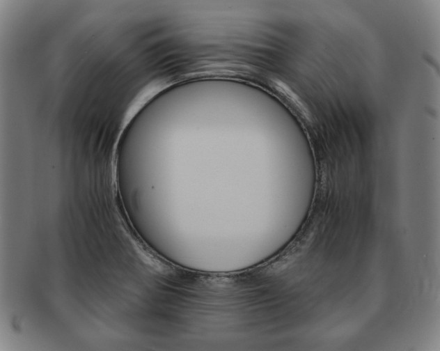 X0000091651370200708231001