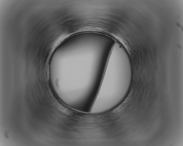 X0000091651371200708231001