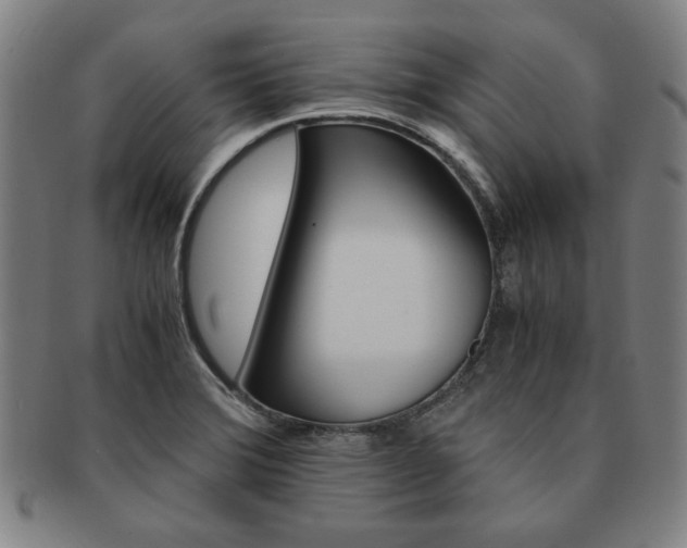 X0000091651372200708231001