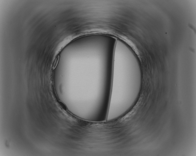 X0000091651373200708231001