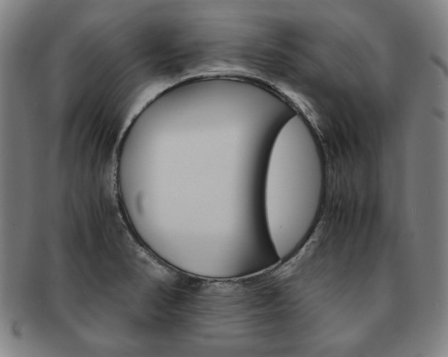 X0000091651374200708231001