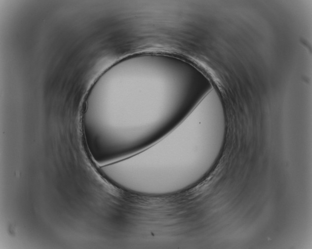 X0000091651375200708231001