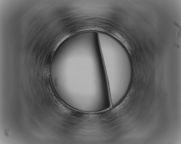 X0000091651377200708231001