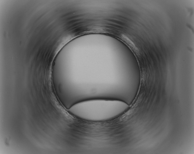 X0000091651378200708231001