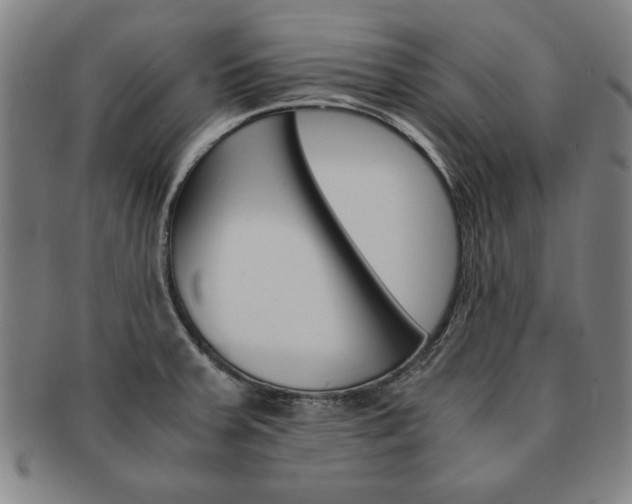 X0000091651379200708231001