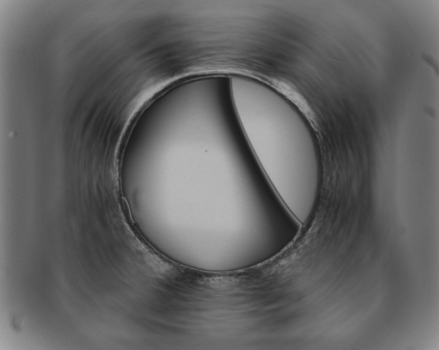 X0000091651380200708231001