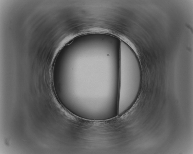 X0000091651381200708231001
