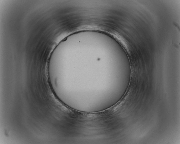 X0000091651382200708231001