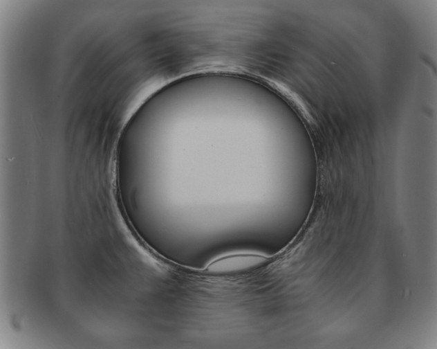 X0000091651383200708231001