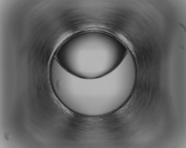 X0000091651384200708231001