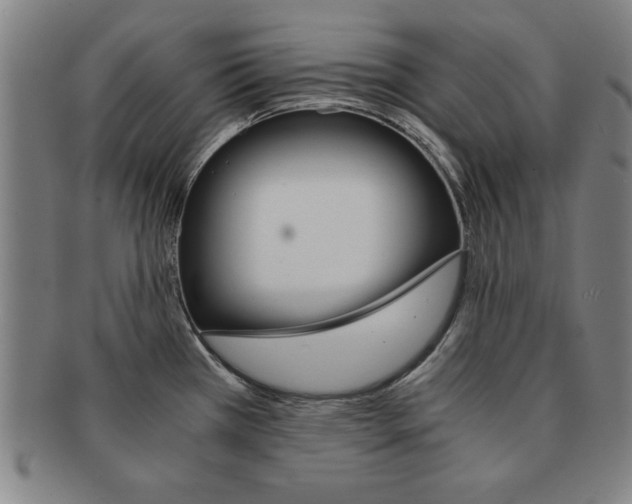 X0000091651385200708231001