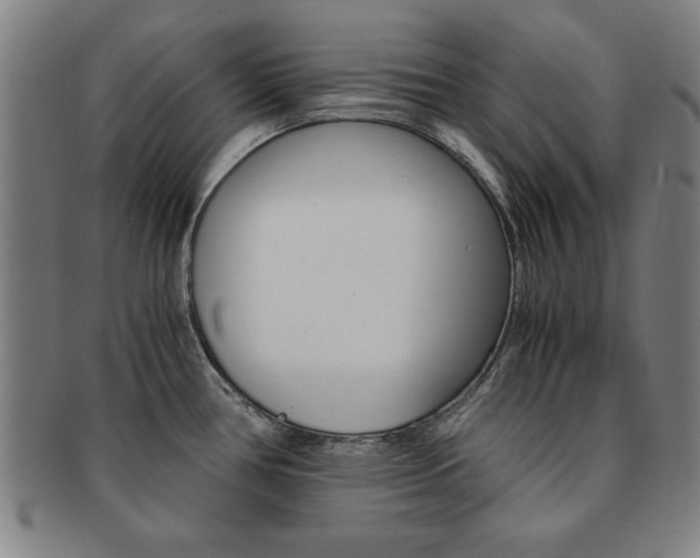 X0000091651386200708231001