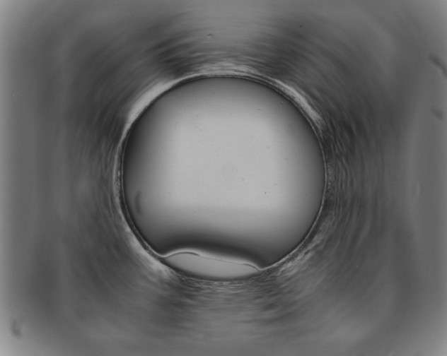 X0000091651387200708231001