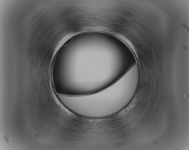 X0000091651389200708231001