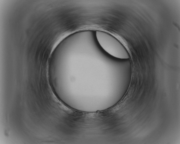 X0000091651390200708231001