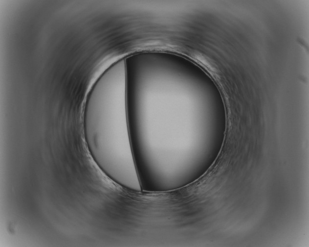 X0000091651392200708231000