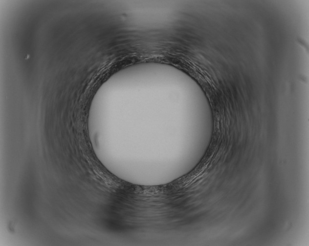 X0000091651393200708231000
