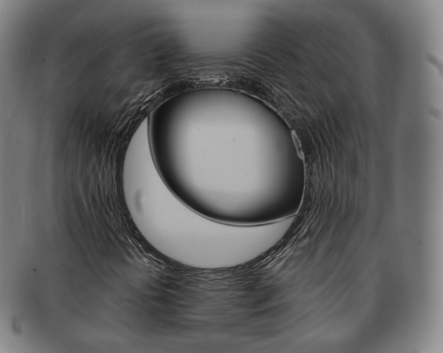 X0000091651394200708231000