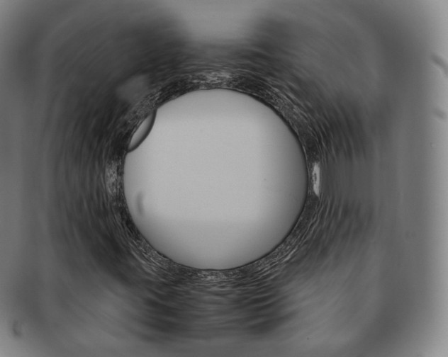 X0000091651395200708231000