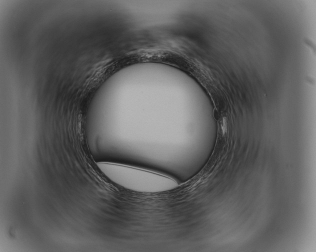 X0000091651396200708231000